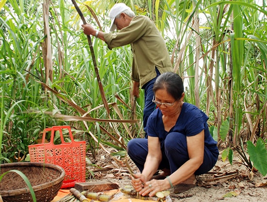 Bà Phạm Thị Mỹ - Út Nỉ dành hết đời mình để “kiếm tiền” chăm lo cho trẻ em nghèo xã Tam Hải.