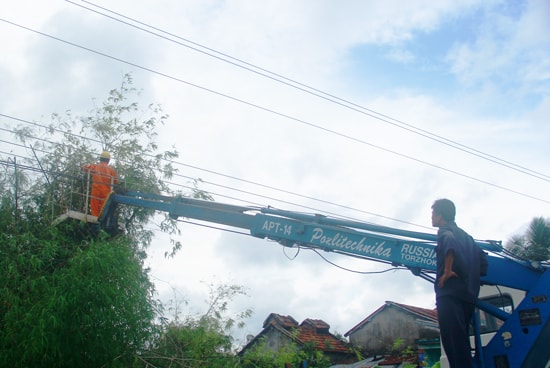 Phát quang hành lang tuyến để hạn chế tỷ lệ điện thất thoát - một trong những giải pháp đảm bảo cung ứng điện mùa khô. Ảnh: P.G