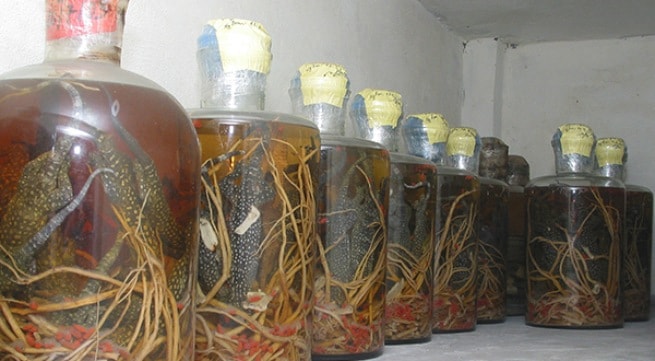 Rượu thuốc phải ngâm đủ ngày, uống đúng chỉ định thì mới phát huy tác dụng và tránh ngộ độc. Ảnh: T.M