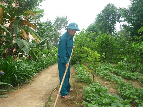 Vườn rau tăng gia của Tiểu đội dân quân trật tự phường Điện Dương.Ảnh: PHAN SƠN