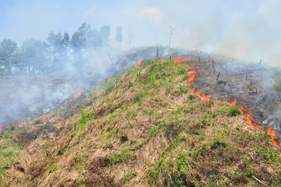 Nắng nóng kéo dài, nguy cơ cháy rừng ở Nam Giang rất cao. Ảnh: ALĂNG NGƯỚC