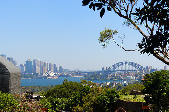 Vì vườn thú ở trên đồi cao, khách có thể nhìn thấy cảnh đẹp của Sydney. Ảnh: NGỌC TRÂN