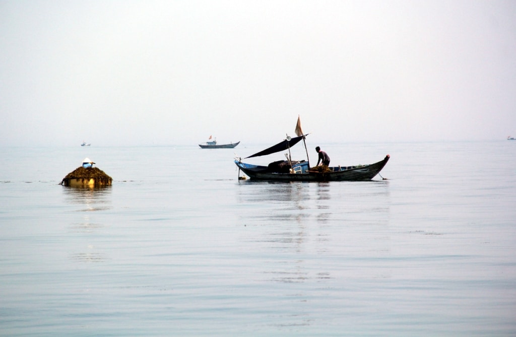 Thời gian này, ở các vùng biển Bàn Than (xã Tam Hải) và Bãi Rạng (xã Tam Quang, huyện Núi Thành, Quảng Nam) có khoảng 80 chiếc thuyền nhỏ chia nhau hành nghề vớt rong biển. Những chiếc thuyền đánh cá gần bờ suốt 2 tháng nay được dùng để vớt rong biển mang lên bờ bán cho các thương lái