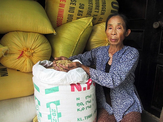 Bà Nguyễn Thị Huệ (thôn Trà Kiệu Tây, xã Duy Sơn) mỏi mòn chờ doanh nghiệp đến thu mua lúa giống. Ảnh: T.S