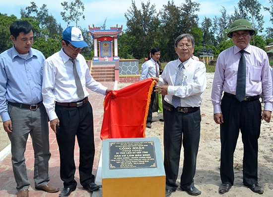 Căn cứ “lõm” Bàu Bính (xã Bình Dương) được công nhận Di tích lịch sử cấp tỉnh. Ảnh: QUANG VIỆT