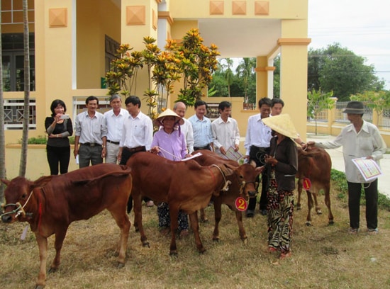 Trao bò giống cho các hộ nghèo ở xã Duy Trinh.Ảnh: HOÀI NHI