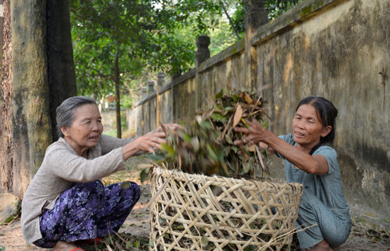 Những người sống ở khu vực đình Thạch Tân như bà Thơ, bà Loan thường cùng nhau quét dọn khuôn viên di tích địa đạo. Ảnh: XUÂN KHÁNH
