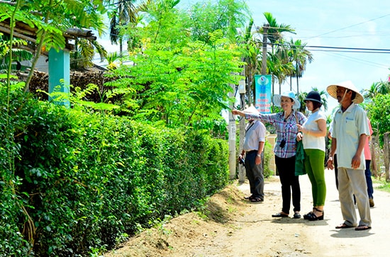 Đoàn kiểm tra cuộc thi đánh giá cao hàng rào xanh của hộ ông Dương Phán. Ảnh: XUÂN THỌ