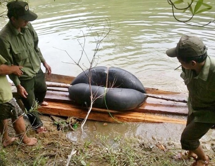 Trục vớt gỗ dưới sông lên.