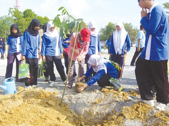 Sinh viên Malaysia tham gia trồng cây bảo vệ môi trường. ảnh: dahasry