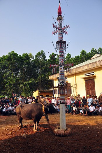 Cor’s Neu pole in the buffalo sacrifice festival. Picture: SONG ANH