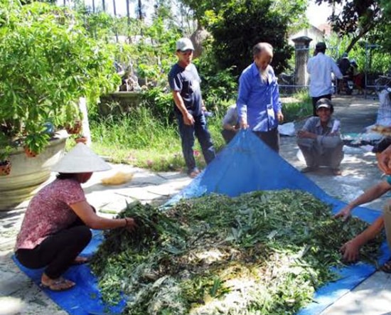 Hội nông dân xã Tam Ngọc tổ chức lớp tập huấn kỹ thuật ủ phân vi sinh đệm lót sinh thái cho bà con nông dân. Ảnh: T.Q