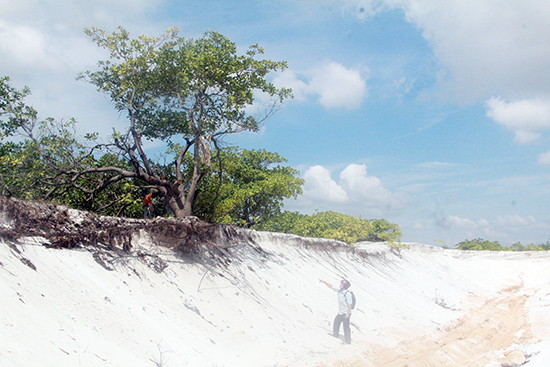 Việc khai thác cát trái phép đã ảnh hưởng đến rừng phòng hộ PASCA. Ảnh: H.P
