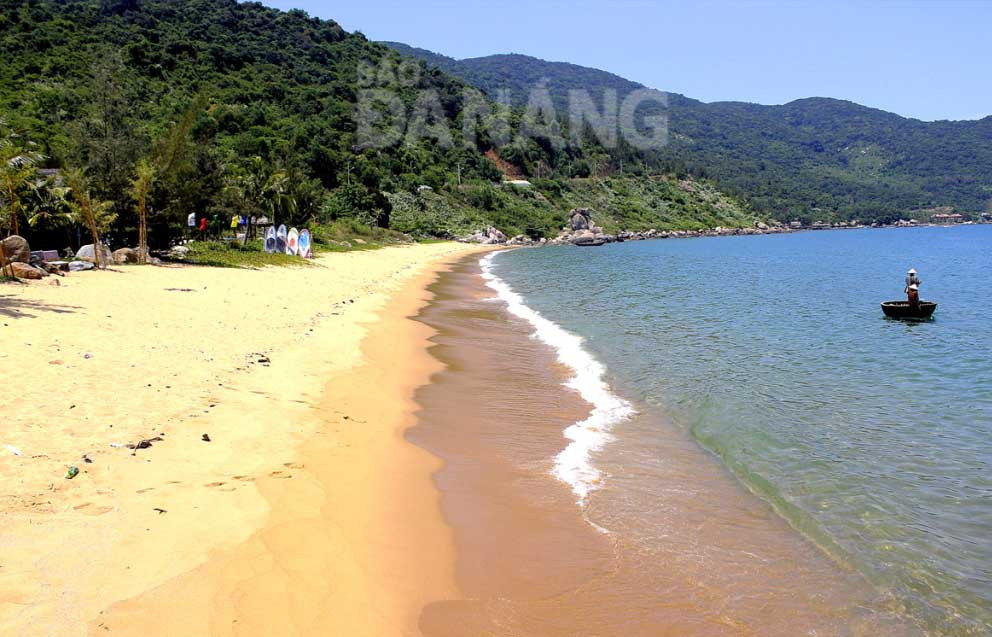 Vùng biển Đà Nẵng có hệ sinh thái biển rất phong phú, có 104,6 ha rạn san hô; 26,2 ha các thảm rong biển và 10 ha thảm cỏ biển với 191 loài san hô cứng tạo