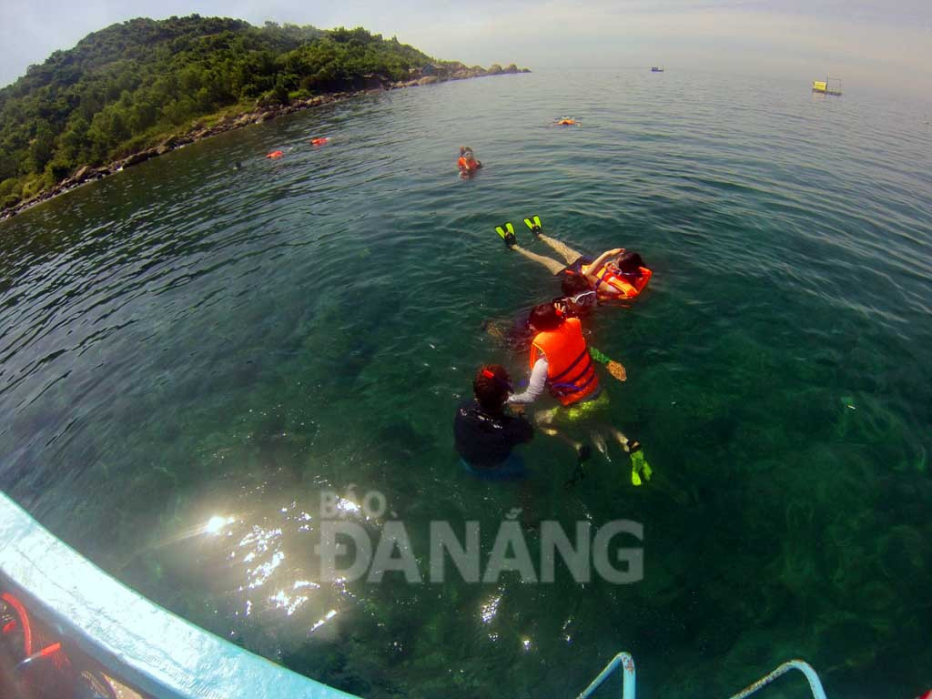 Từ một vài doanh nghiệp với 3 phương tiện khai thác tour lặn ngắm san hô, hiện Đà Nẵng có khoảng 20 phương tiện hoạt động thuộc 5 doanh nghiệp và 7 cá nhân khai thác tour này. Trong 6 tháng đầu năm có koangr 7.400 lượt du khách trong nước và quốc tế đến tham quan du lịch Sơn Trà bằng đường biển. Anh Vũ Văn Huy, Công ty dịch vụ du lịch Bãi Rạng Xanh cho biết lượng khách của công ty mỗi năm một tăng. Trung bình mỗi ngày công ty đưa từ 30-40 khách đi lặn biển. Công ty chủ yếu khai thác khác nội địa và theo đánh giá của anh Huy có khoảng 80% du khách đến từ các tỉnh phía bắc.