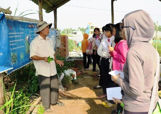 A farmer “lecturing” on organic vegetable. Photo: H.Lien