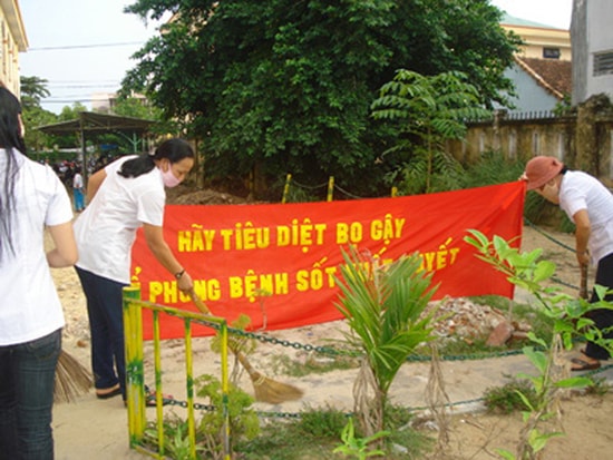 Các trường học trên địa bàn tỉnh thực hiện các biện pháp phòng ngừa sốt xuất huyết.