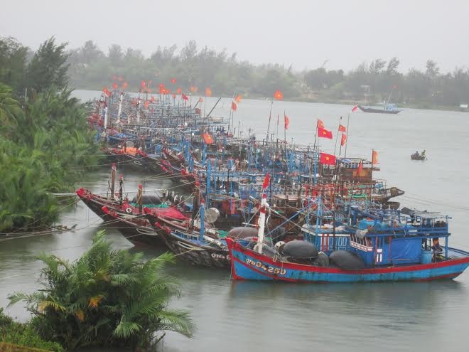 Hàng trăm tàu thuyền đã vào nơi trú ẩn an toàn.