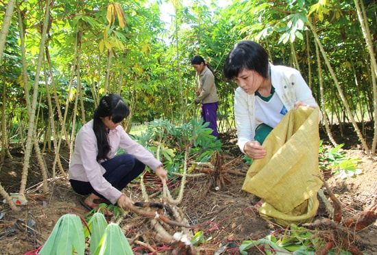 Líu (trái) và Lo, vì điều kiện gia đình nên chỉ mình Lo được tiếp tục đến trường.  Ảnh: VĂN HÀO