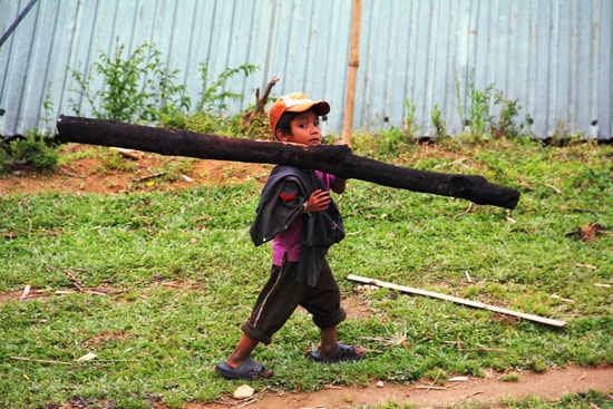 Tình trạng lao động trẻ em khó kiểm soát ở vùng núi Nam Trà My. (Ảnh minh họa) Ảnh: Alăng Ngước