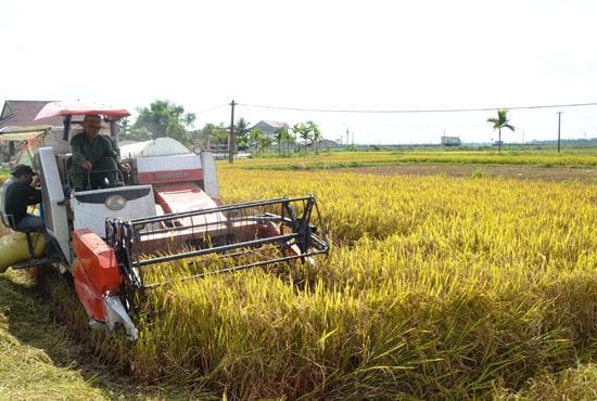 Thăng Bình chú trọng cơ giới hóa để xây dựng nông thôn mới và phát triển nông nghiệp.