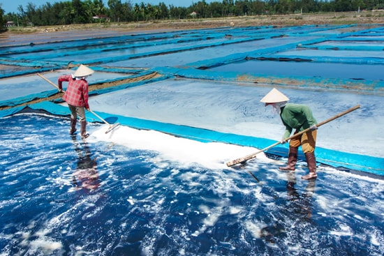 Người dân đã có thu nhập ổn định từ các nghề truyền thống. Trong ảnh: Thu hoạch muối ở xã Tam Hòa.  Ảnh: Hà Nguyễn