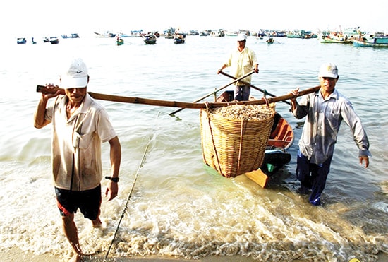 Vùng đồng bằng ven biển, hải đảo được tỉnh quan tâm đầu tư phát triển nhằm khai thác có hiệu quả các lợi thế so sánh về tự nhiên, nhất là kinh tế biển.  Ảnh: A.B