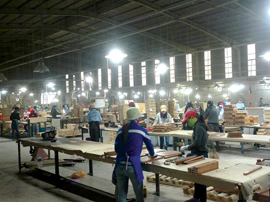 Dây chuyền sản xuất, chế biến gỗ tại Khu công nghiệp Bắc Chu Lai. 