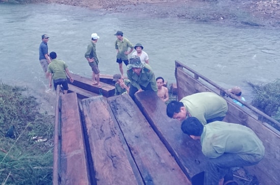 Thu giữ lượng lớn gỗ ở lòng hồ thủy điện Đăk Mi 4. Ảnh: H.Y