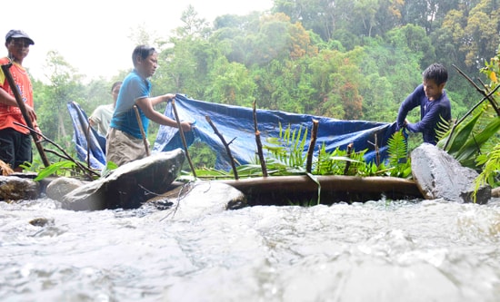  Chặn đầu dòng chảy nhánh suối Kaon để thuốc cá. 