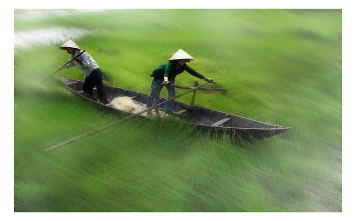 Mưu sinh trên sông - Ảnh: LÊ TRỌNG KHANG