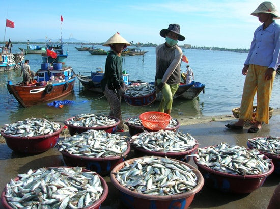 Phụ nữ có vai trò quan trọng trong phát triển kinh tế và giữ gìn hạnh phúc gia đình. TRONG ẢNH: Phụ nữ ở vùng bãi ngang ven biển. Ảnh: M.ĐỨC