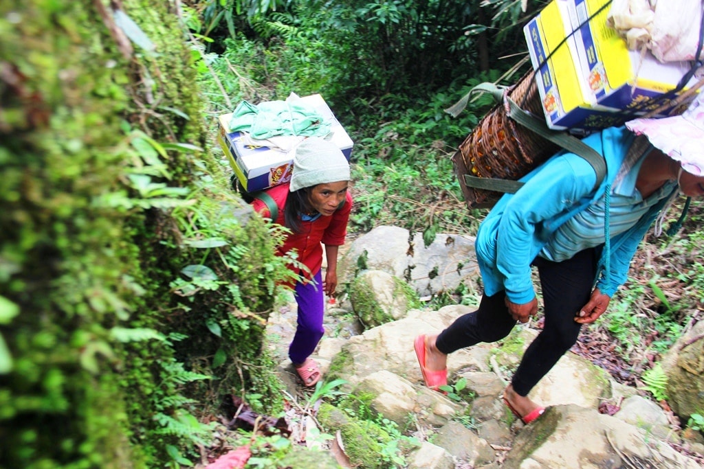 Những bước chân của người mẹ vùng cao Ngọc Linh luôn in hằn trên từng phiến đá, cùng giọt mồ hôi trên hành trình 