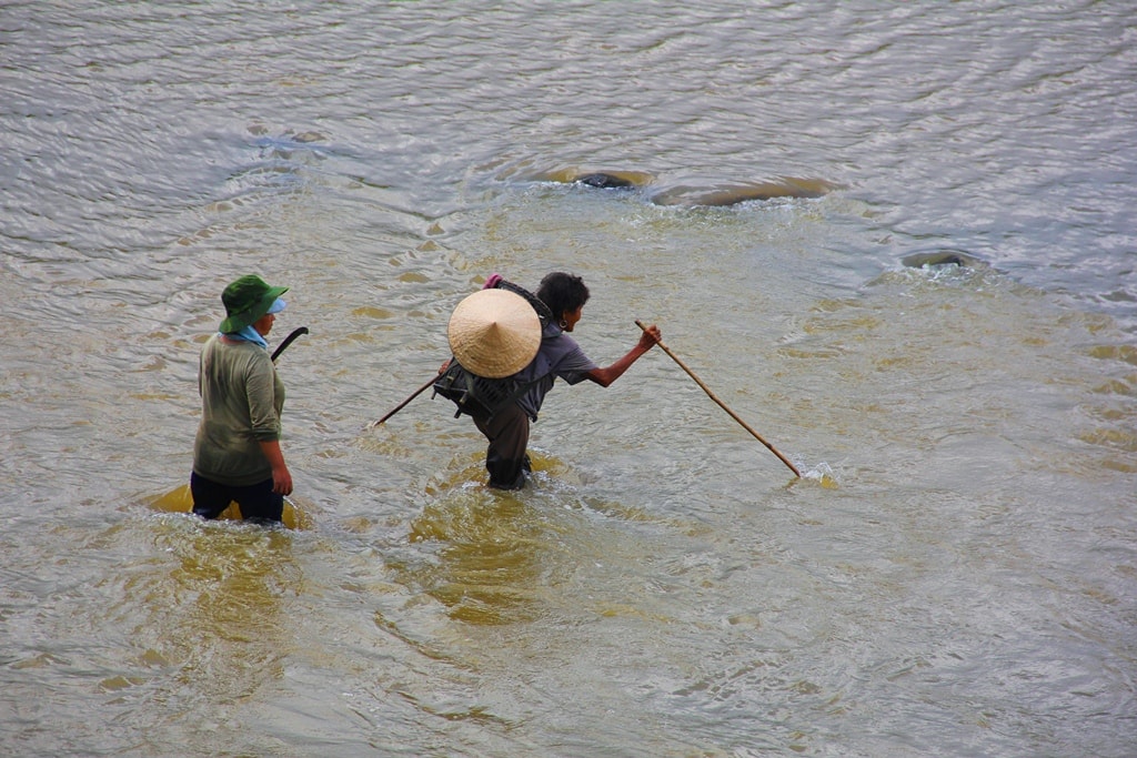 Qua sông thăm rẫy.