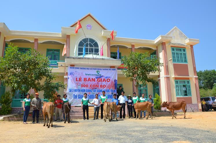 Trao bò cho các hộ nghèo huyện Nam Giang.