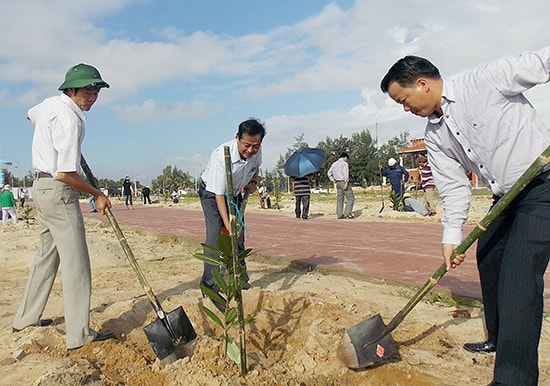 Lãnh đạo TP.Tam Kỳ tham gia trồng cây bàng vuông tại biển Tam Thanh.