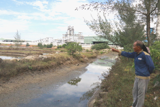 Người dân thôn Đại Phú cho rằng, do Nhà máy sản xuất Sô đa Chu Lai xả thải trực tiếp làm ô nhiễm nguồn nước ao nuôi dẫn đến hiện tượng cá chết. Ảnh: H.PHÚC