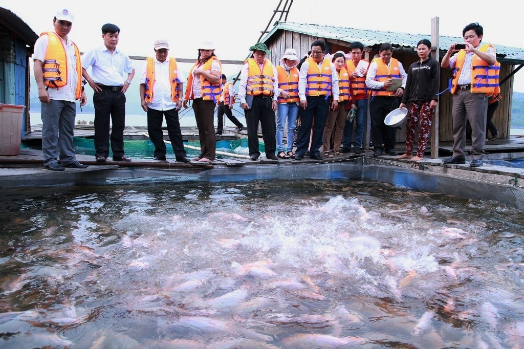 Những Chương trình, chính sách đối với miền núi đã góp phần giảm nghèo hiệu quả ở vùng cao. Ảnh: Hỗ trợ cho nhân dân vay vốn nuôi cá lồng bè trong lòng hồ thủy điện sông Tranh 2 đem lại hiệu quả kinh tế cao.