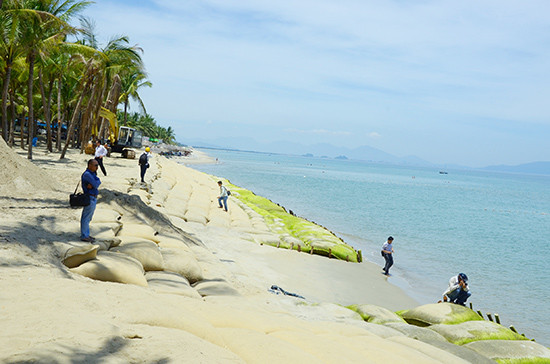 Bờ biển Cửa Đại (Hội An) bị sạt lở nghiêm trọng trong thời gian gần đây. Ảnh: H.P