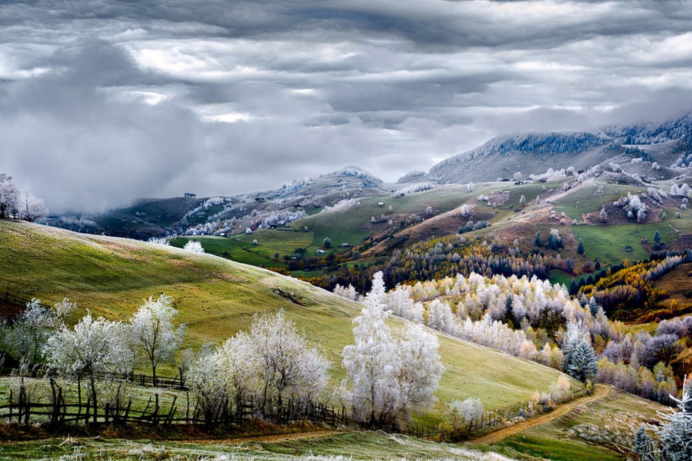 White frost over Pestera village in Romania. #  © Eduard Gutescu