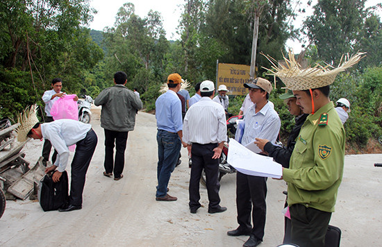 Khảo sát diện tích rừng ở Cù Lao Chàm bị ảnh hưởng khi xây dựng hệ thống lưới điện.