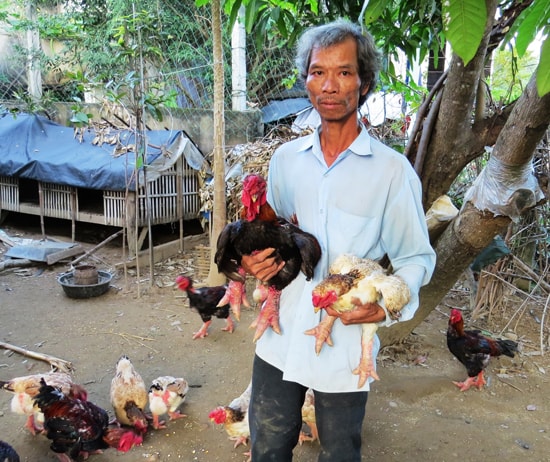 Anh Trần Hiệp bên đàn gà Đông Tảo. 