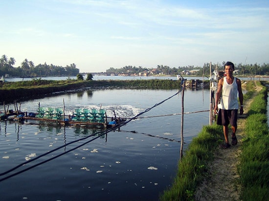 Trục quay của máy tạo oxy gây nguy cơ tai nạn cho người nuôi tôm.  Ảnh: Hà Quang         