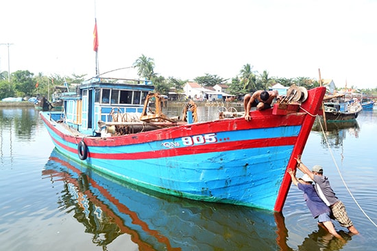 Tàu cá Qna - 905... được cấp giấy phép hành nghề lưới rê nhưng thực chất lại sản xuất bằng nghề lưới kéo. Ảnh: Q.V