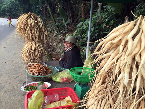 Người dân bày bán các loại “sâm núi” tràn lan dọc đường Hồ Chí Minh qua Nam Giang. Ảnh: PHƯƠNG GIANG