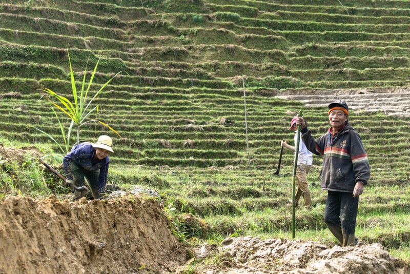 Những người Xê Đăng đang cho nước vào ruộng bậc thang.