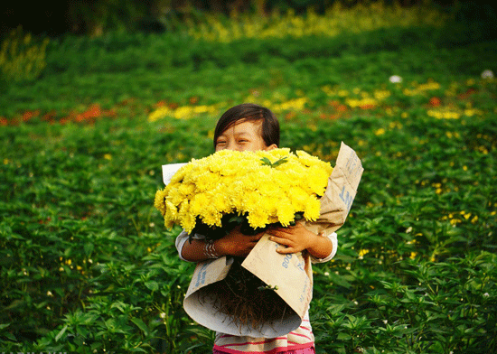 Ảnh: HỨA THẠNH.