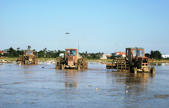 Nhờ tích cực dồn điền đổi thửa, việc cơ giới hóa đồng ruộng diễn ra rất thuận lợi.Ảnh: VĂN SỰ