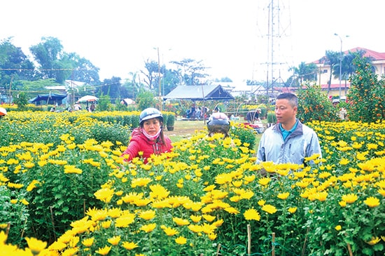 Hội hoa xuân Tam Kỳ 2016 đáp ứng nhu cầu thưởng lãm, mua sắm hoa của người dân. Ảnh: X.PHÚ