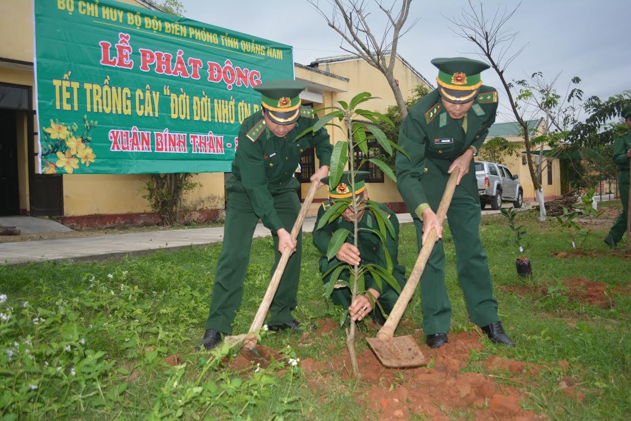 Hơn 1.000 loại cây ăn quả đã được  trồng ngay sau lễ phát động.                                       